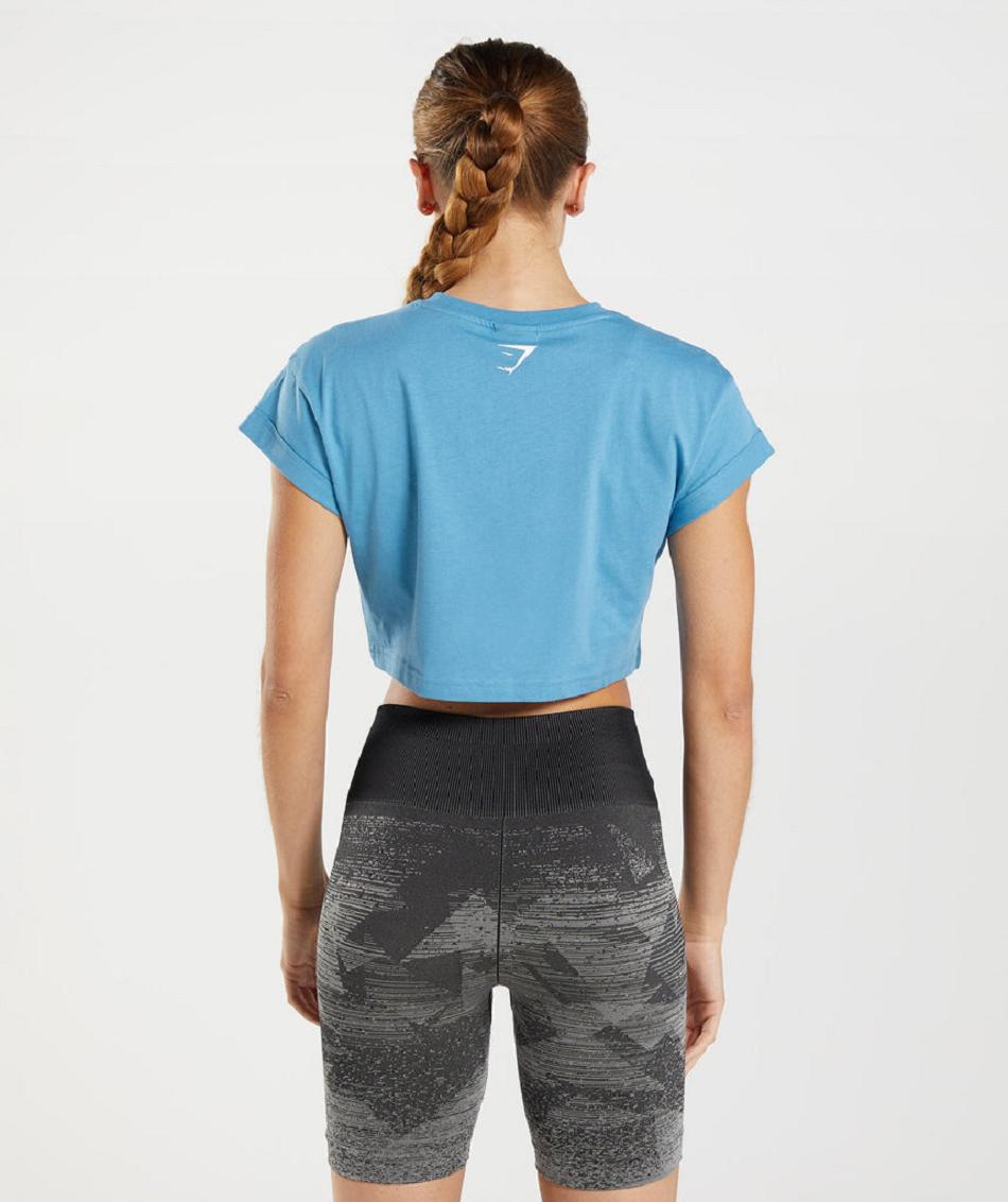 Corp Tops Gymshark Fraction Mujer Azules | CO 2519SGL